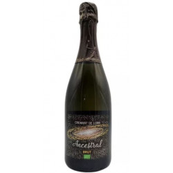 CREMANT DE LOIRE BRUT 2022 - ANCESTRAL - Domaine David Lecomte