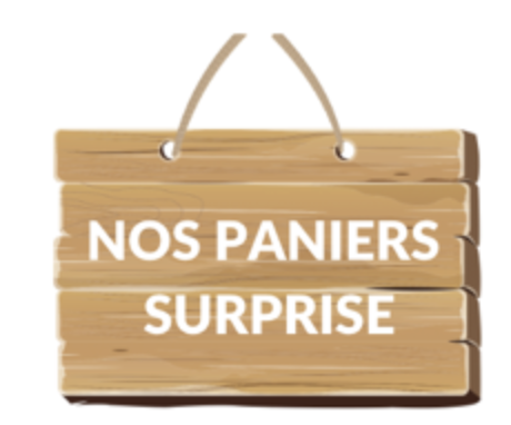 logo catégorie panier surprise